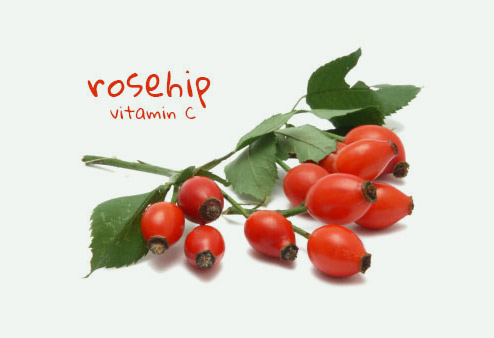 rosehip04